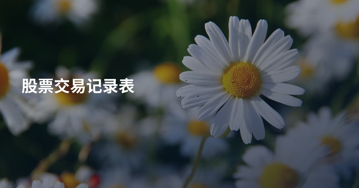 股票交易记录表