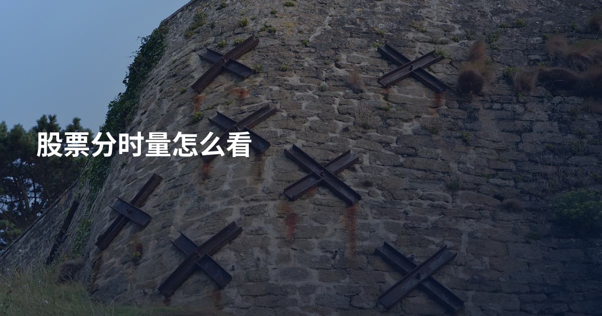 股票分时量怎么看