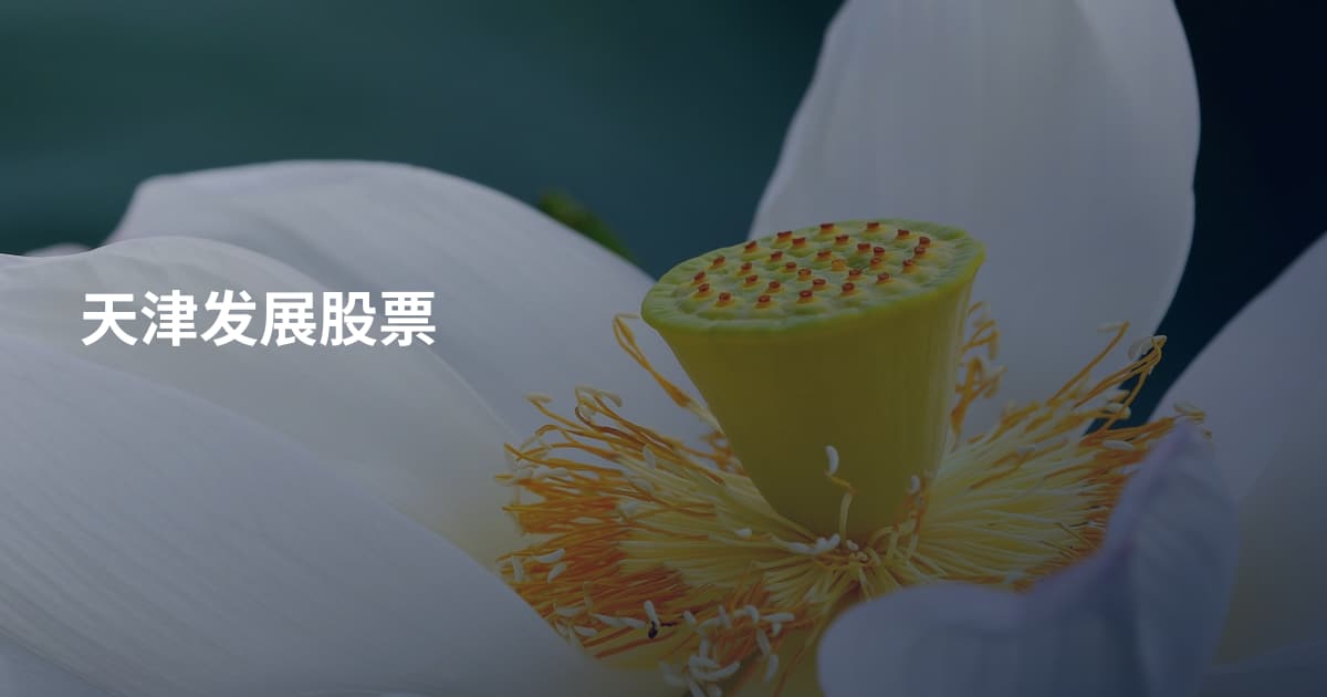 天津发展股票