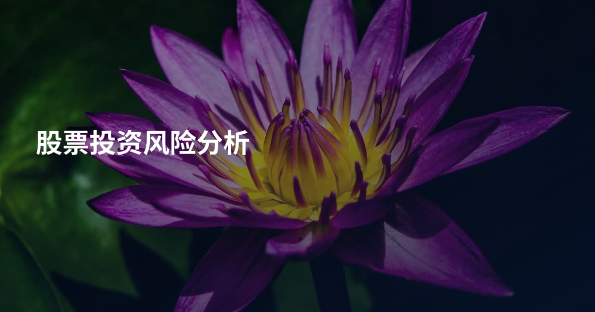 股票投资风险分析