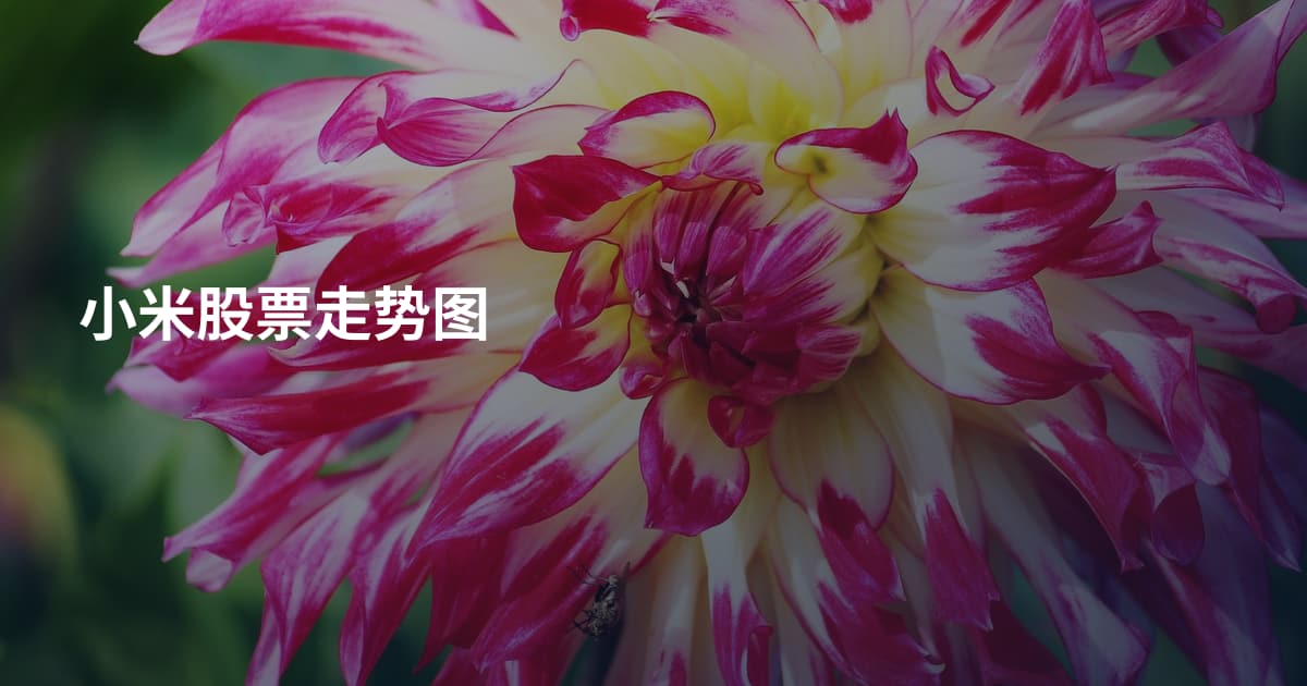 小米股票走势图