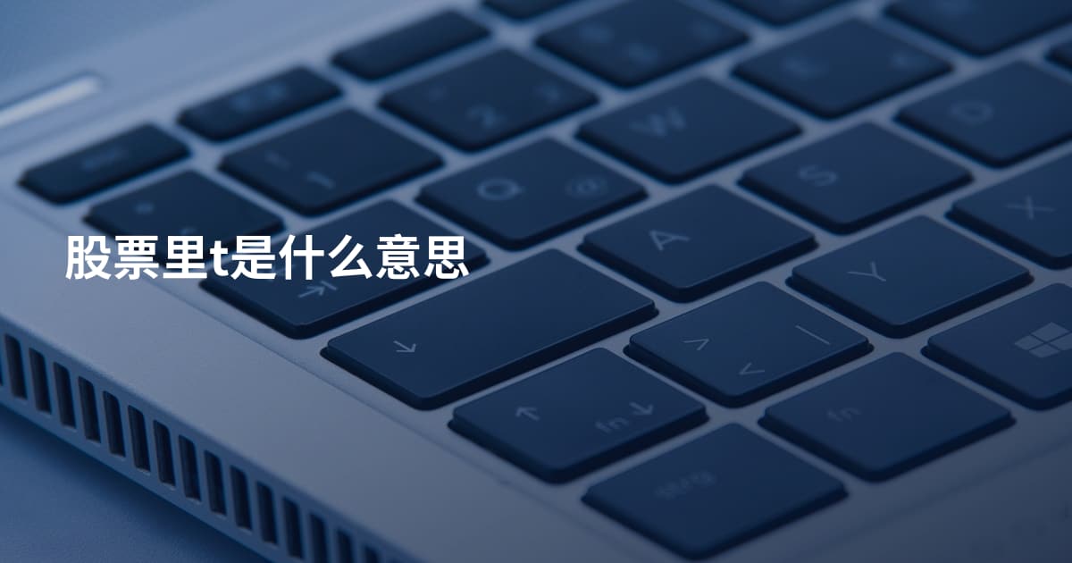股票里t是什么意思