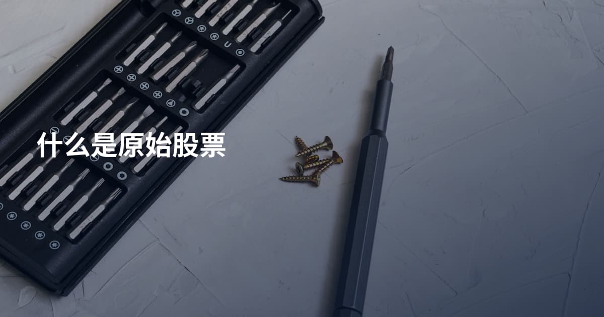 什么是原始股票