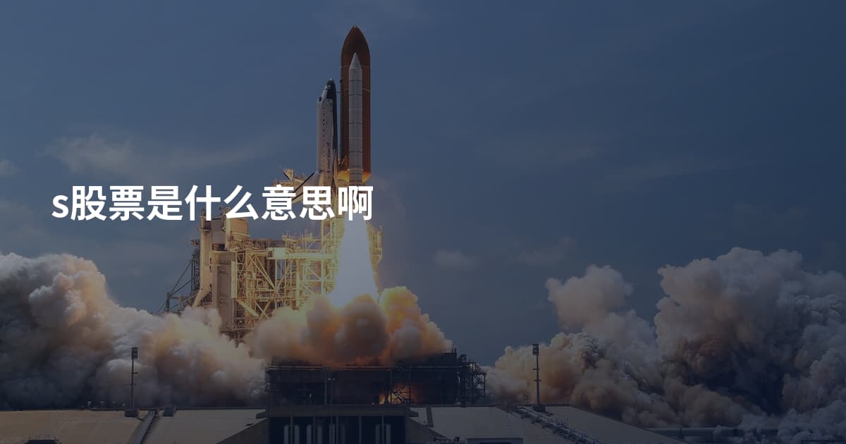 s股票是什么意思啊