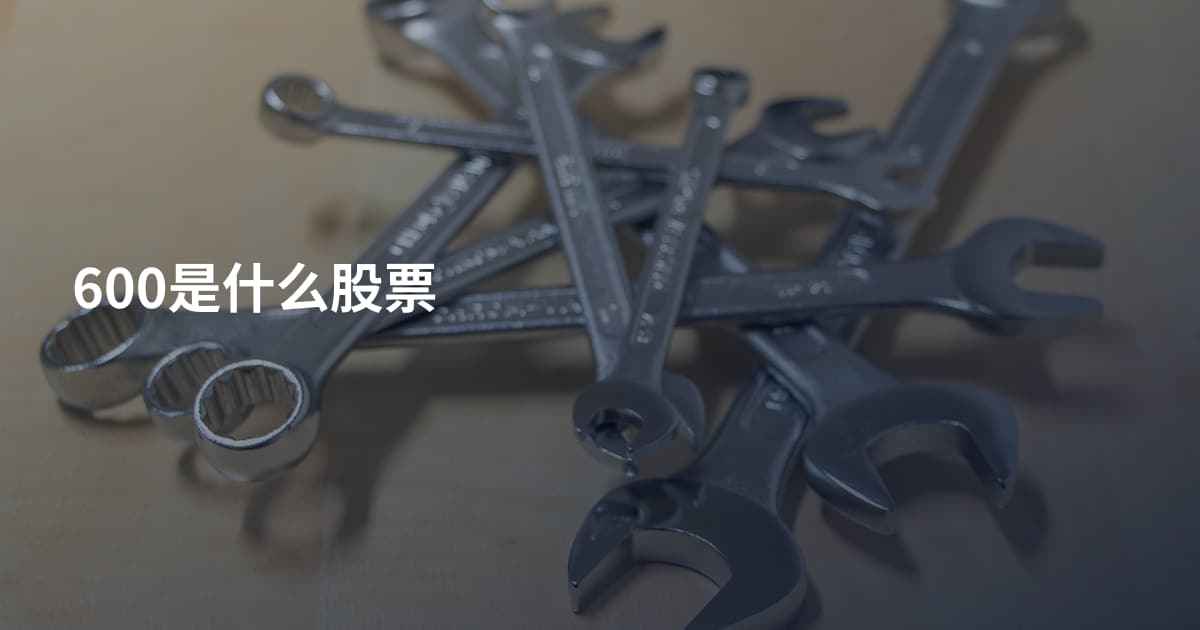 600是什么股票