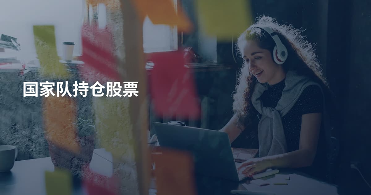 国家队持仓股票