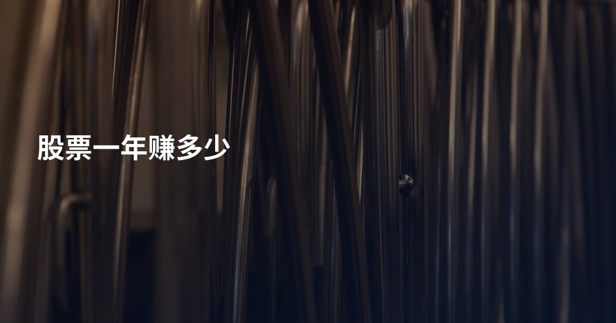 股票一年赚多少