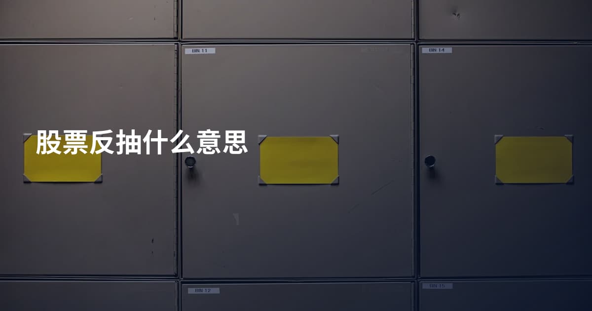 股票反抽什么意思