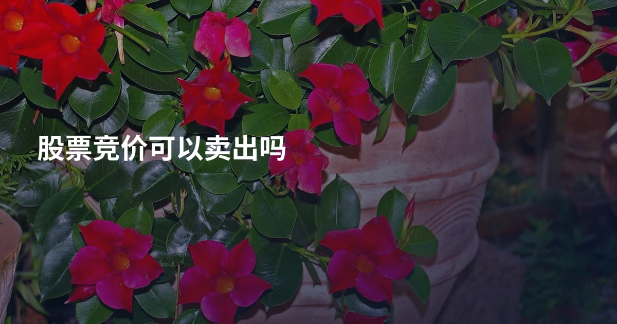 股票竞价可以卖出吗
