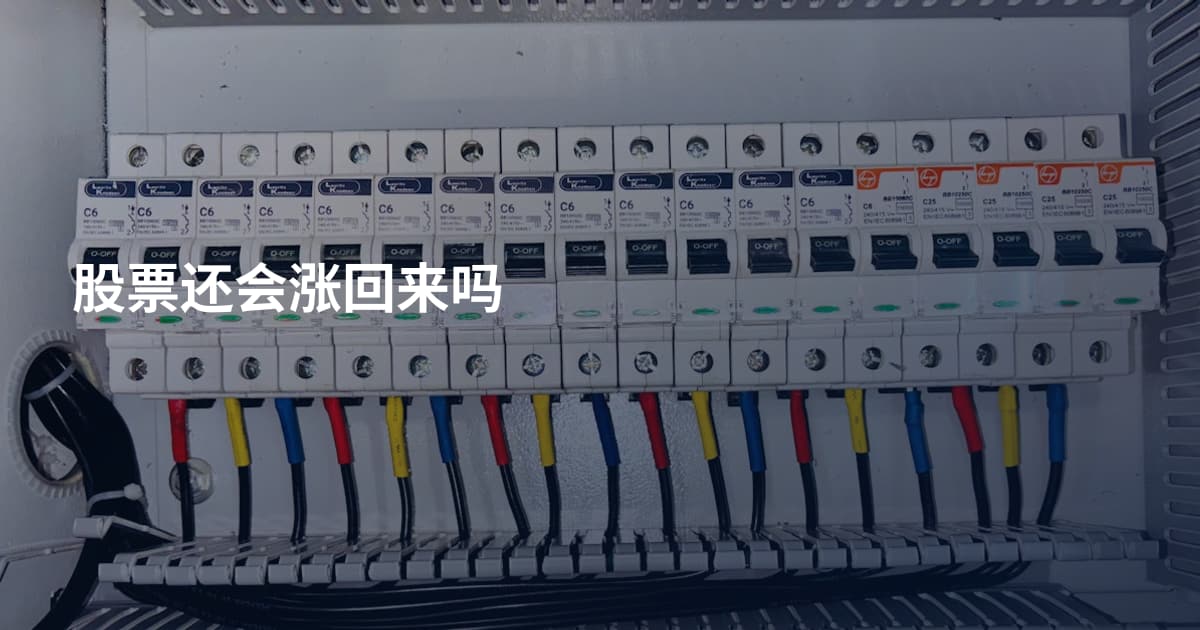 股票还会涨回来吗