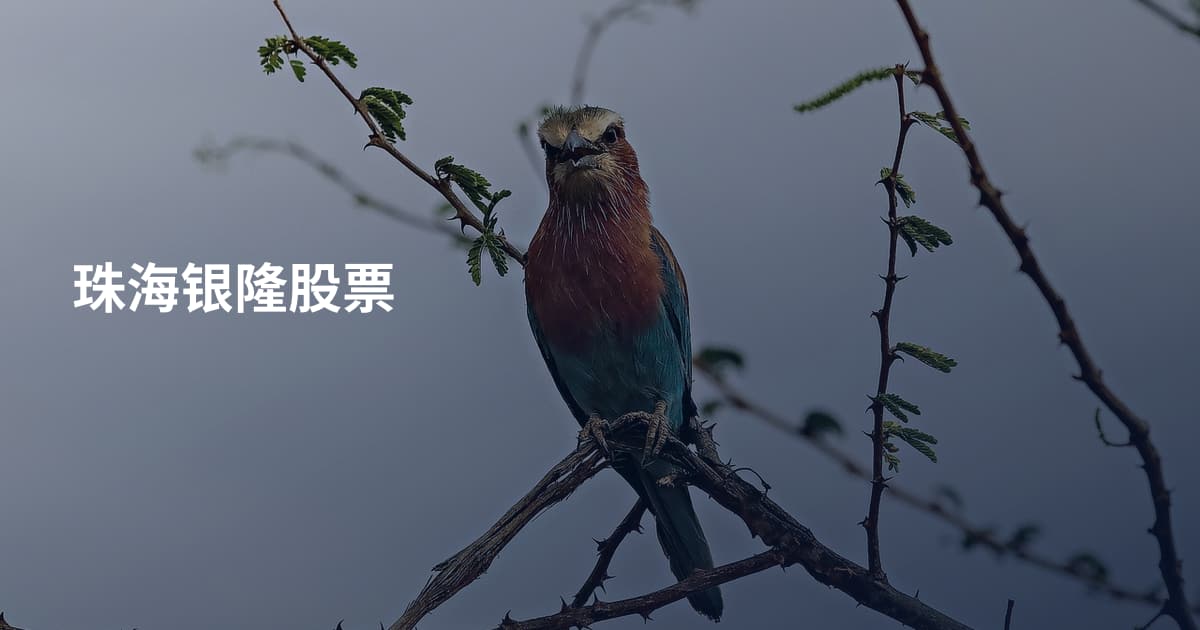 珠海银隆股票