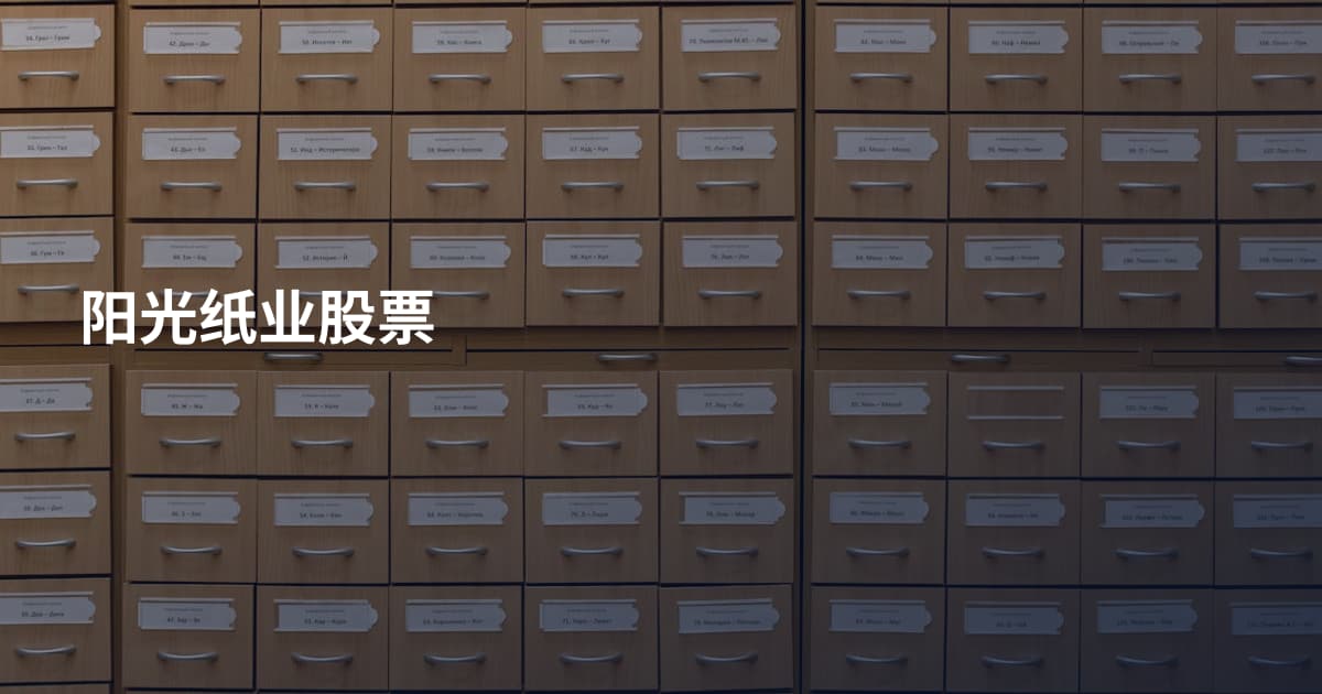 阳光纸业股票