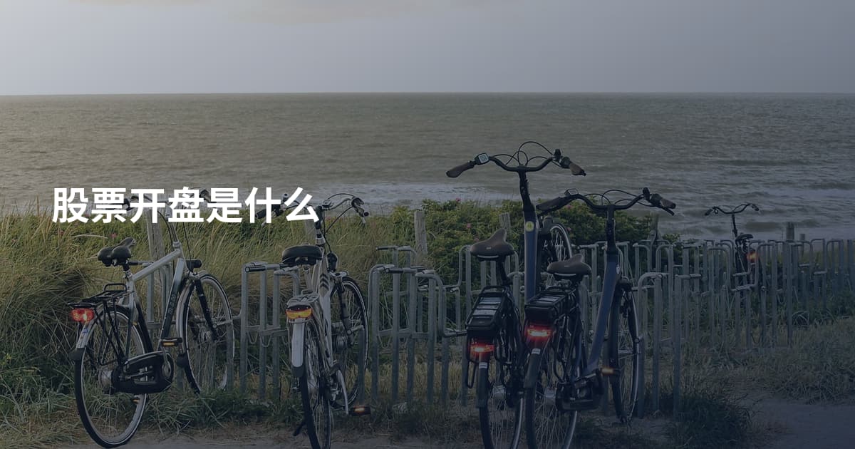 股票开盘是什么