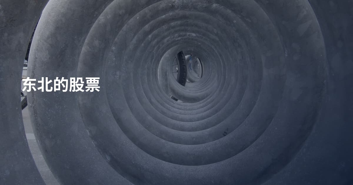 东北的股票