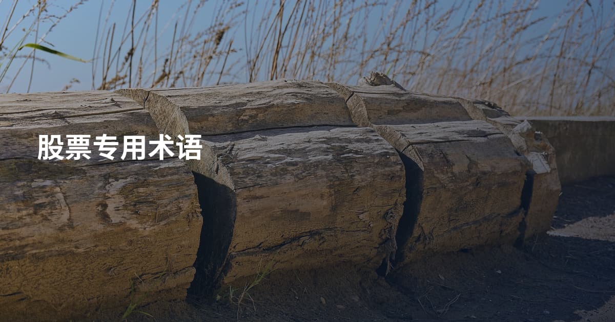 股票专用术语