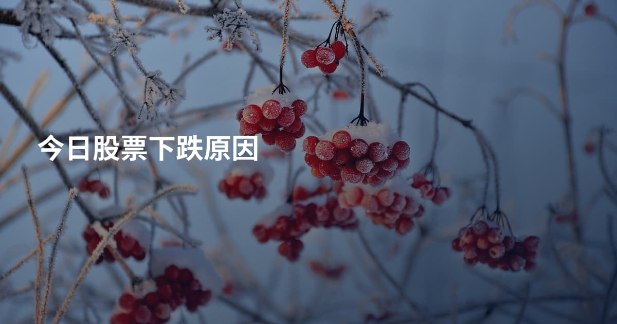 今日股票下跌原因