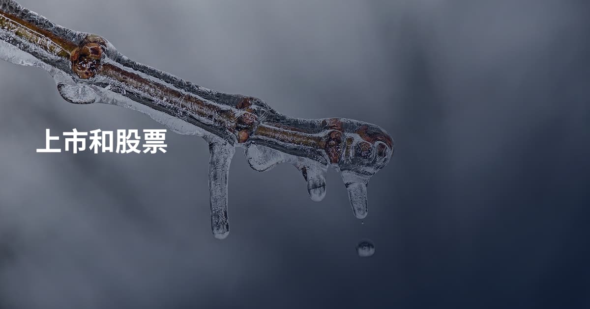 上市和股票