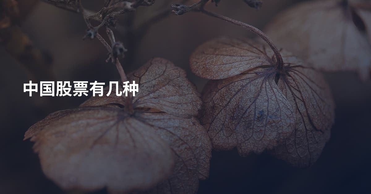 中国股票有几种