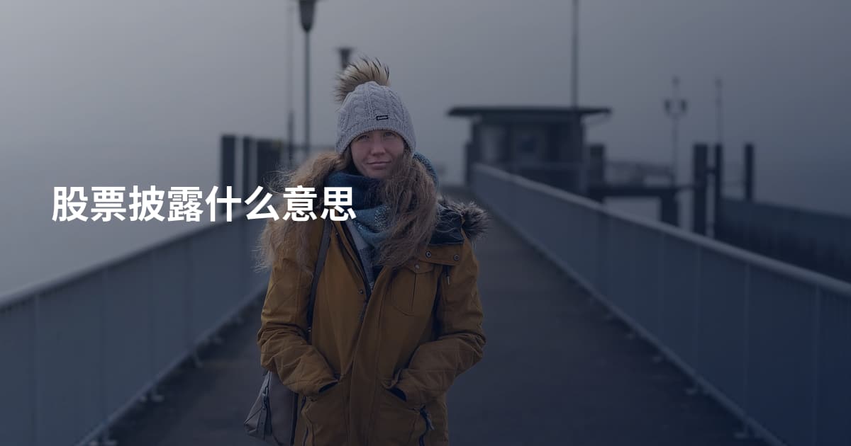 股票披露什么意思