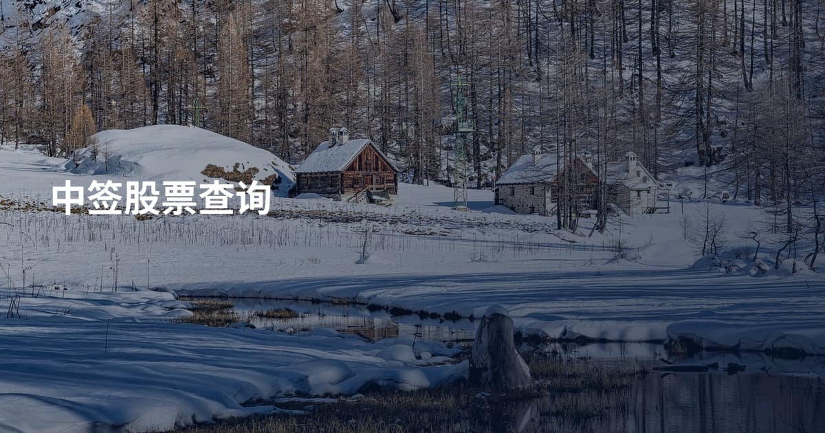 中签股票查询
