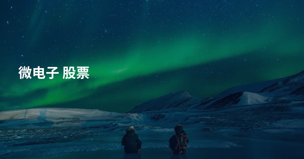 微电子 股票