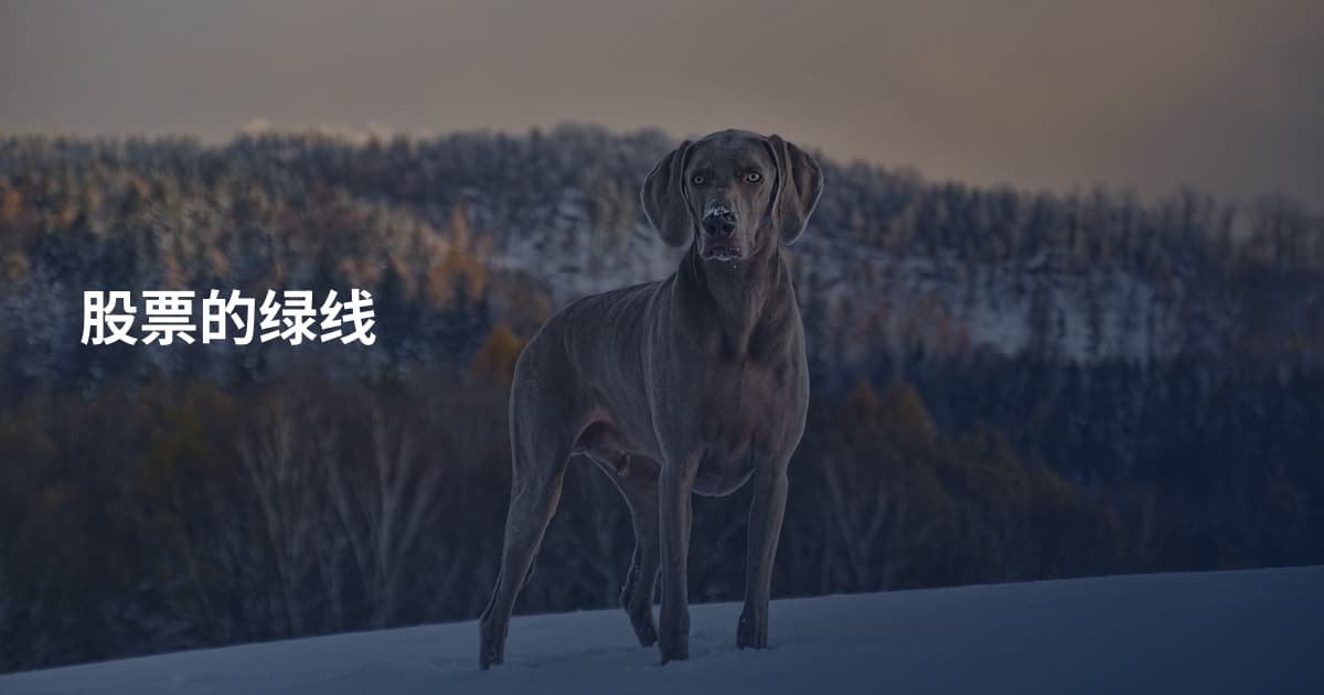 股票的绿线