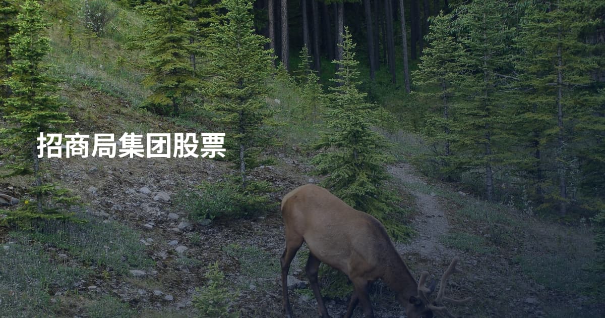 招商局集团股票