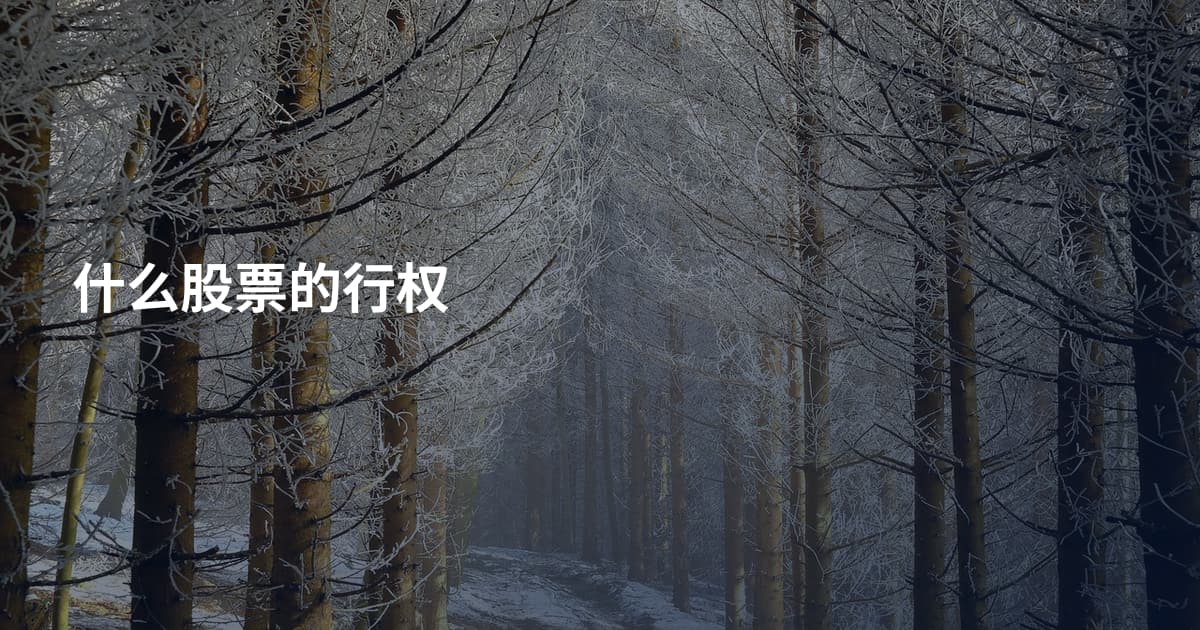 什么股票的行权