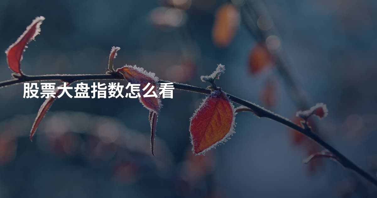 股票大盘指数怎么看