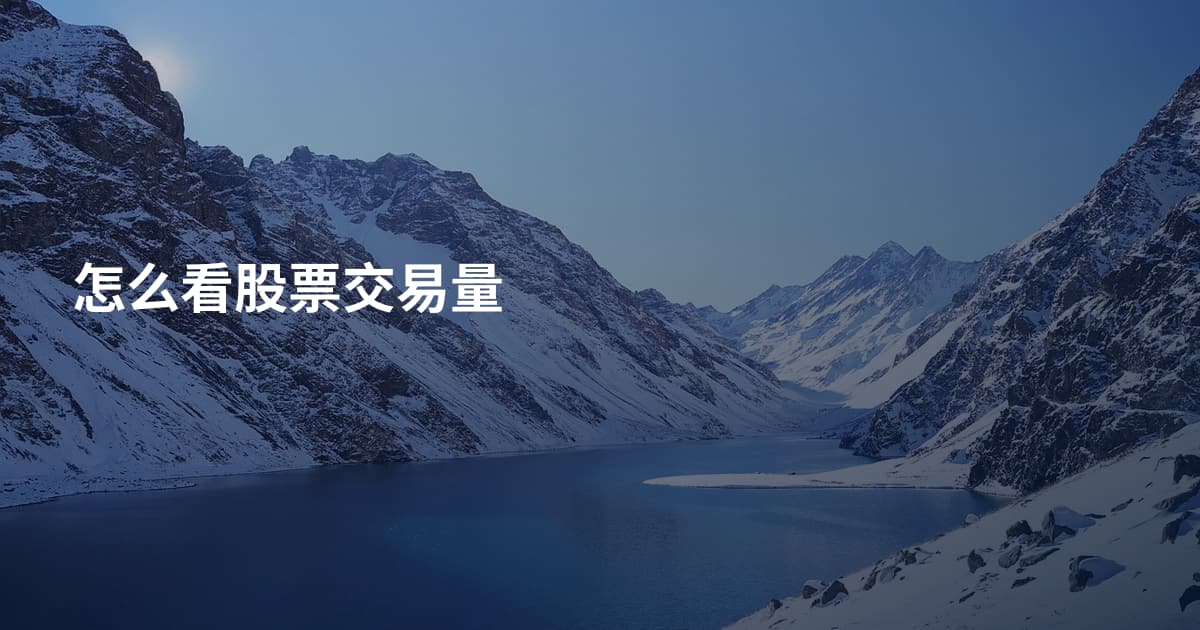怎么看股票交易量