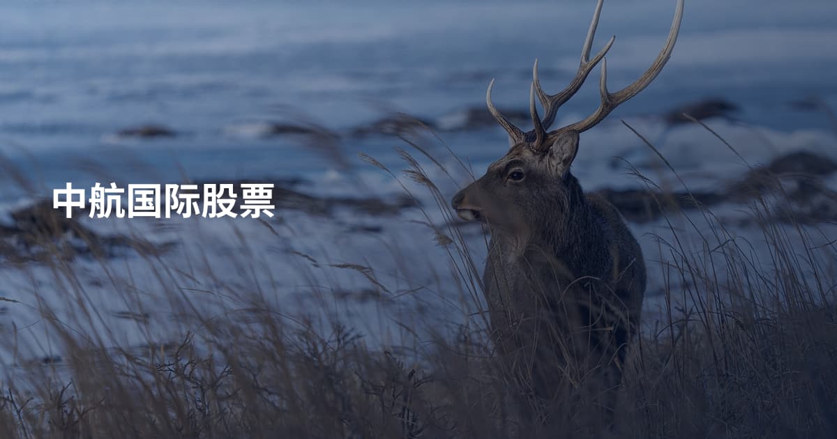 中航国际股票