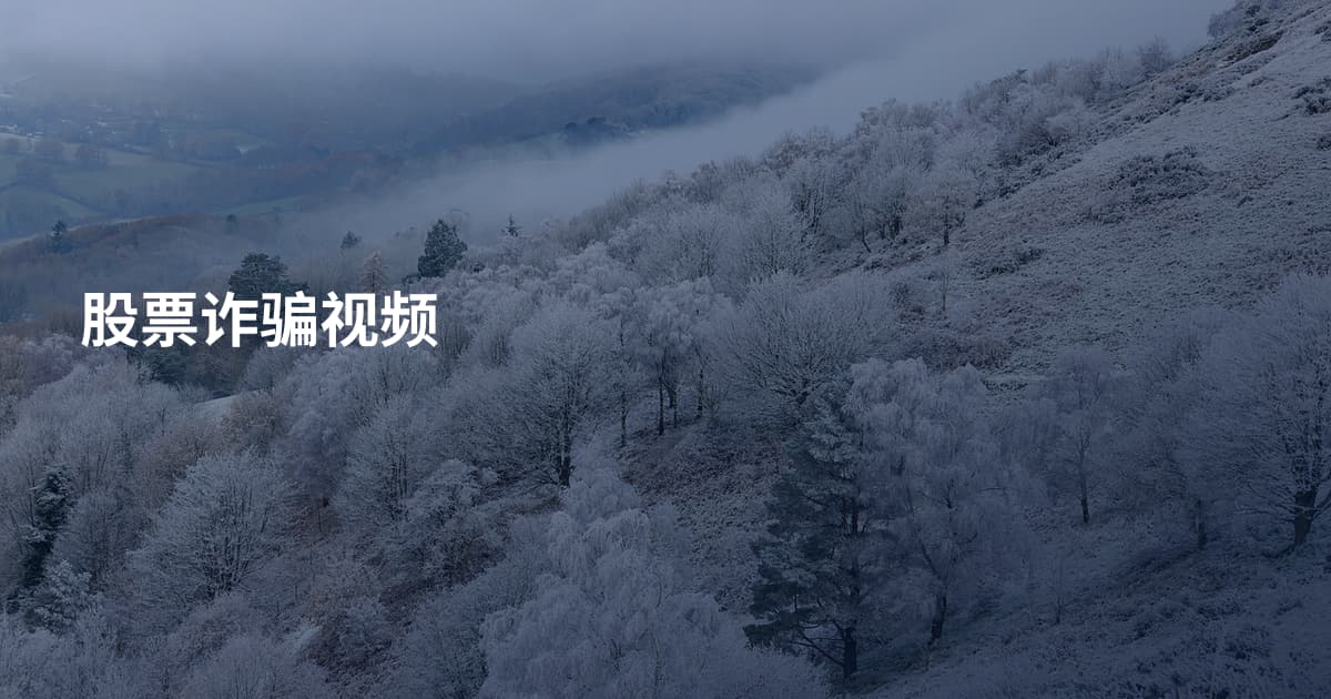 股票诈骗视频