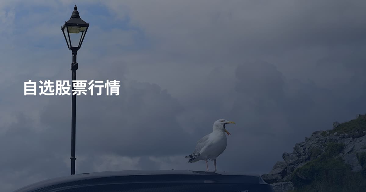 自选股票行情
