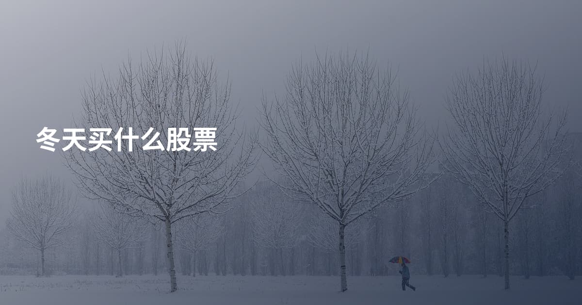 冬天买什么股票