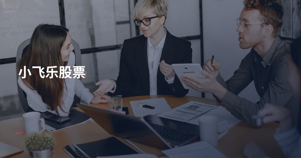 小飞乐股票