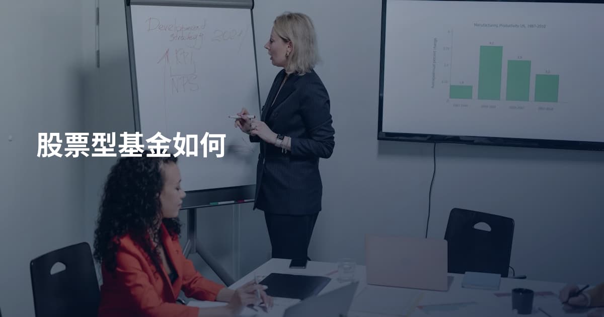股票型基金如何