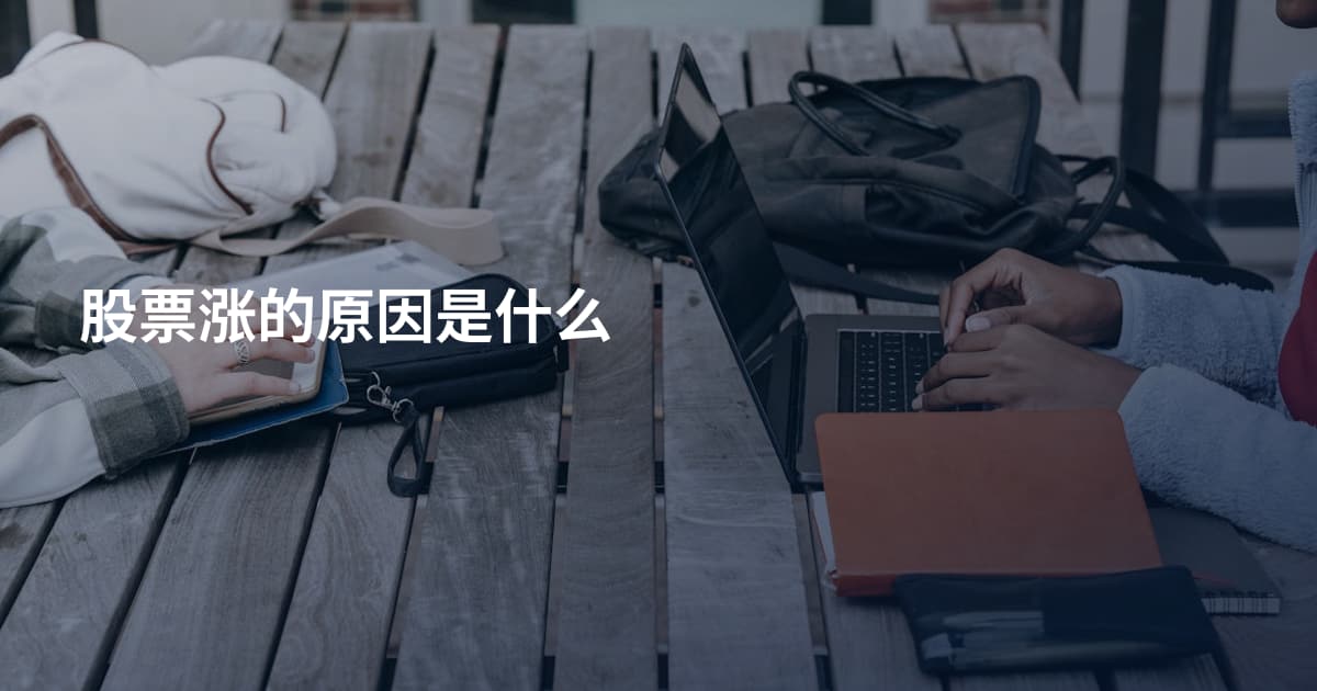 股票涨的原因是什么