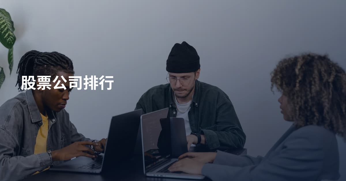 股票公司排行