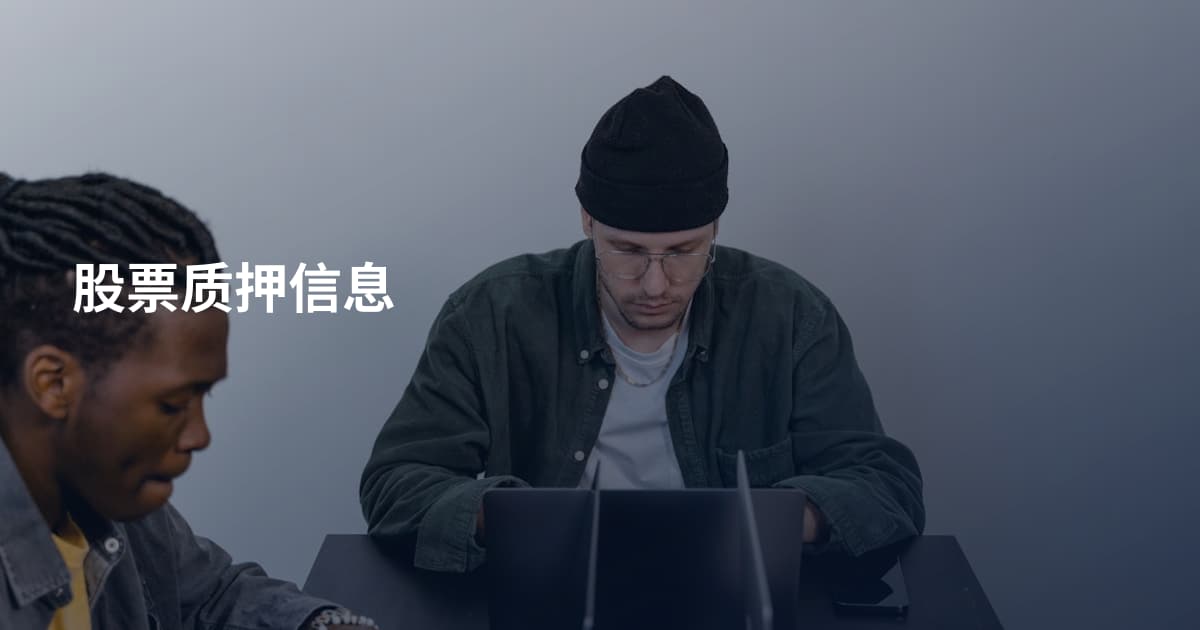 股票质押信息