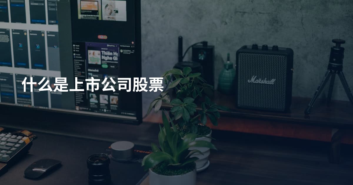 什么是上市公司股票