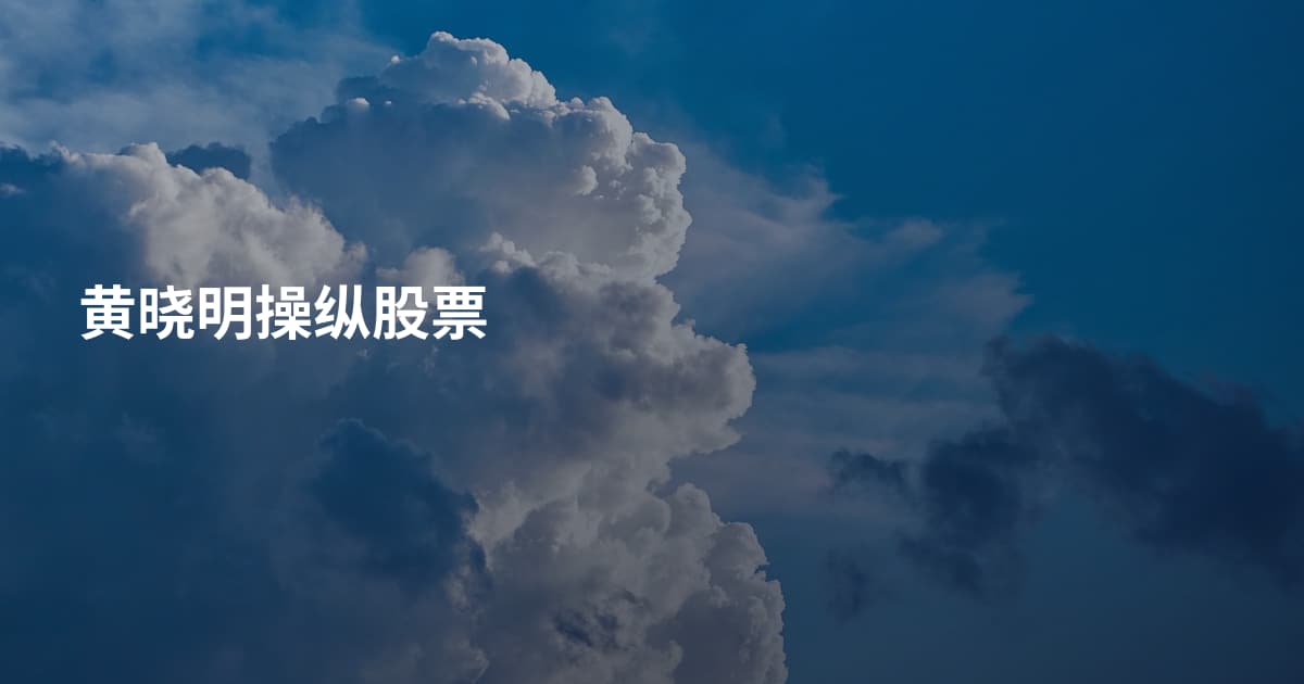 黄晓明操纵股票
