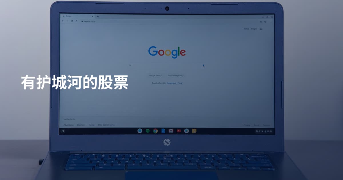 有护城河的股票