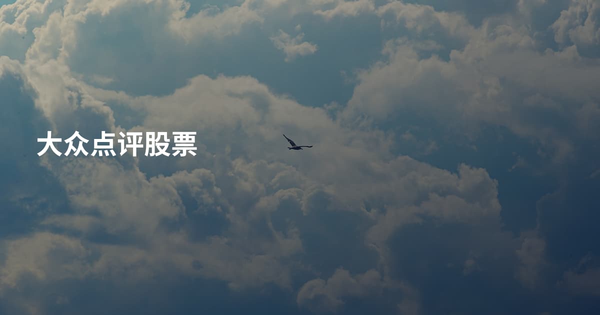 大众点评股票