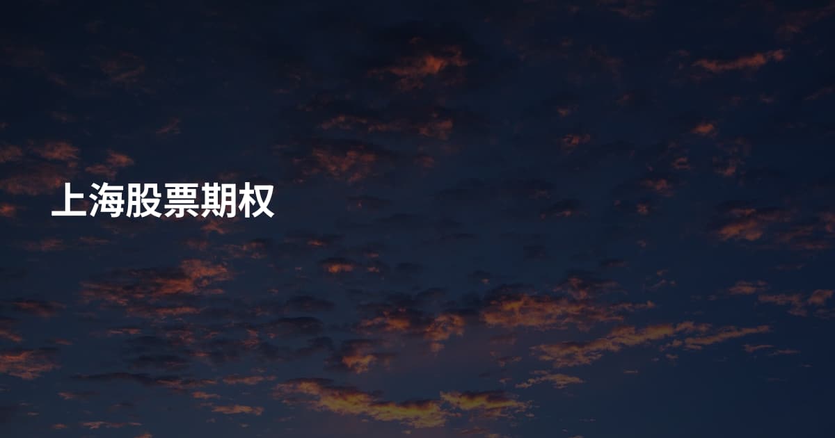 上海股票期权