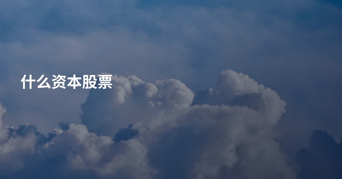 什么资本股票