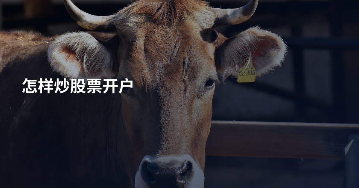 怎样炒股票开户