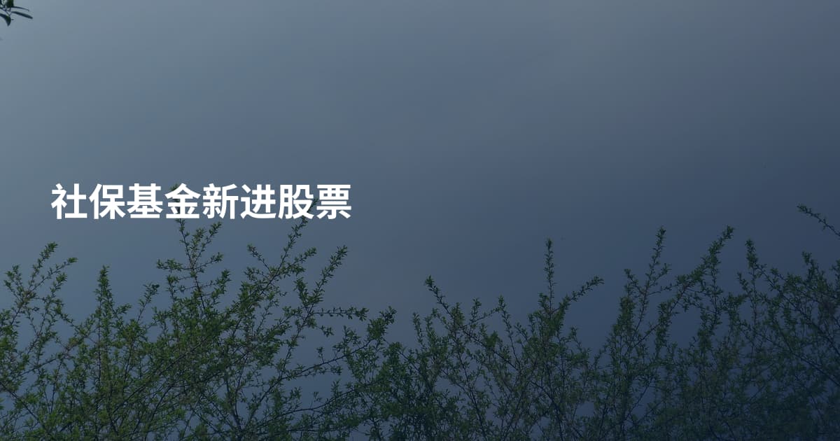 社保基金新进股票