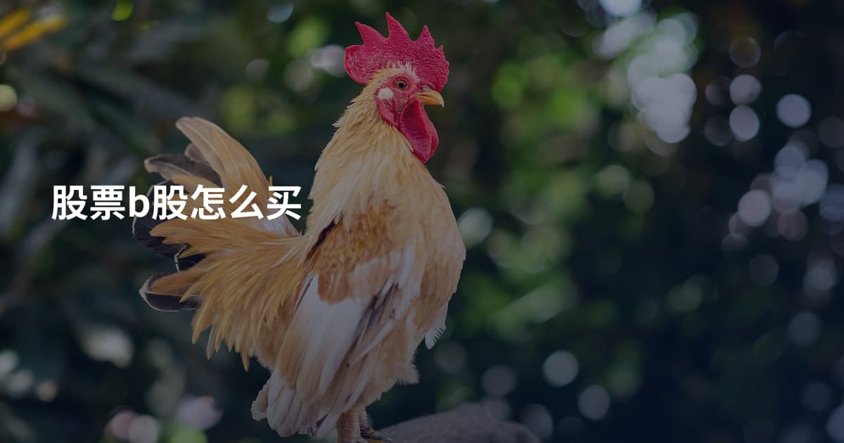 股票b股怎么买