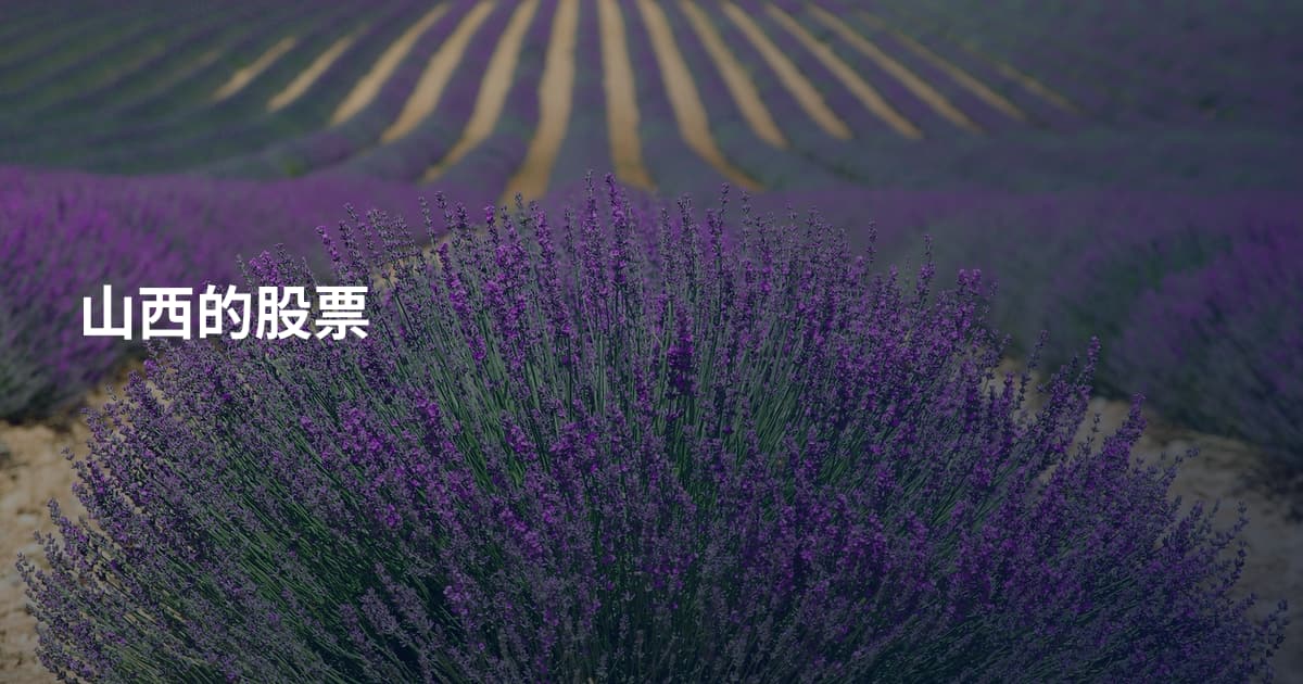 山西的股票