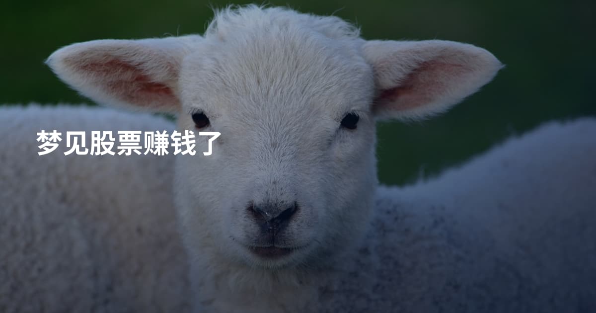 梦见股票赚钱了